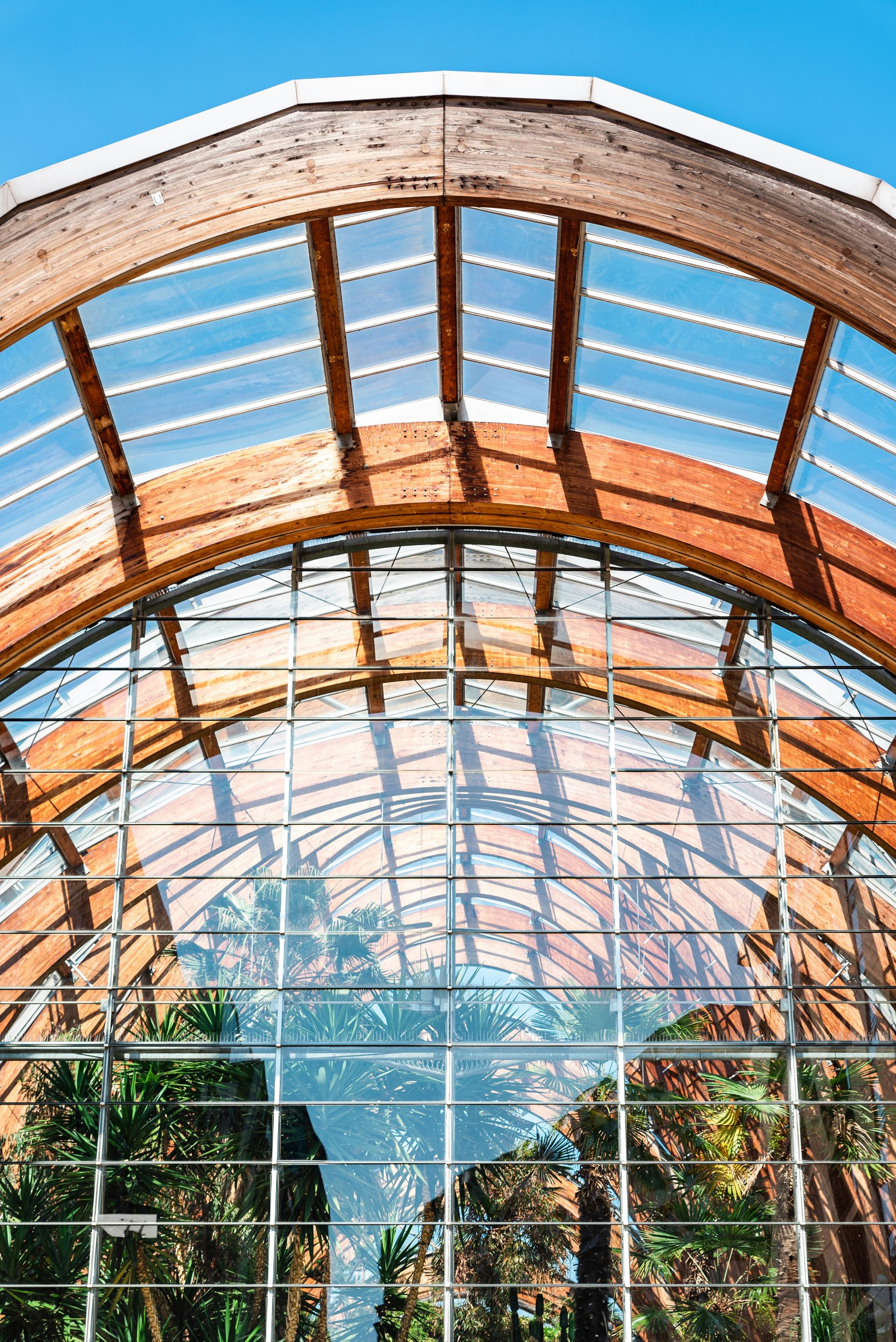 sheffield winter gardens